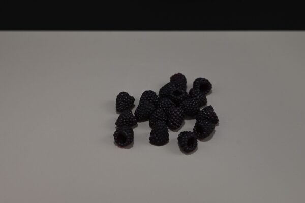 blackberries-600x400