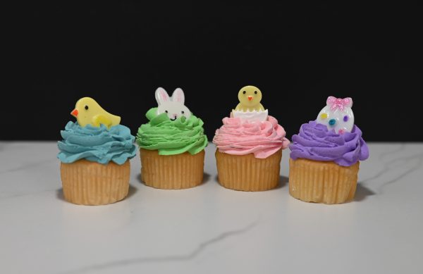 Mini Easter Cupcakes-2
