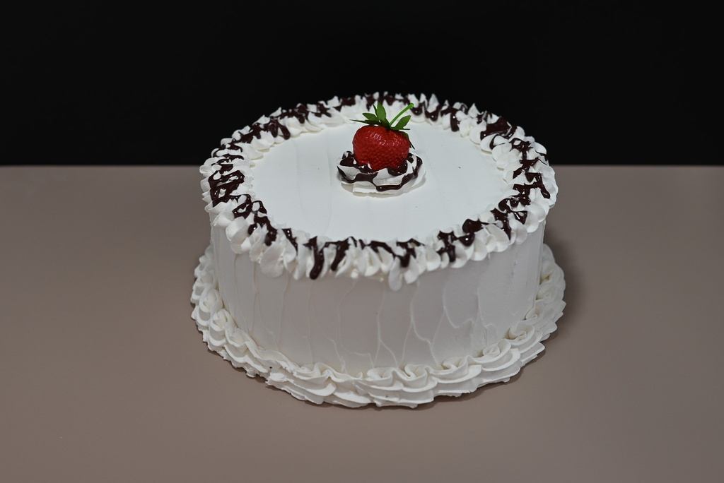 Large Vanilla Frosted Cake