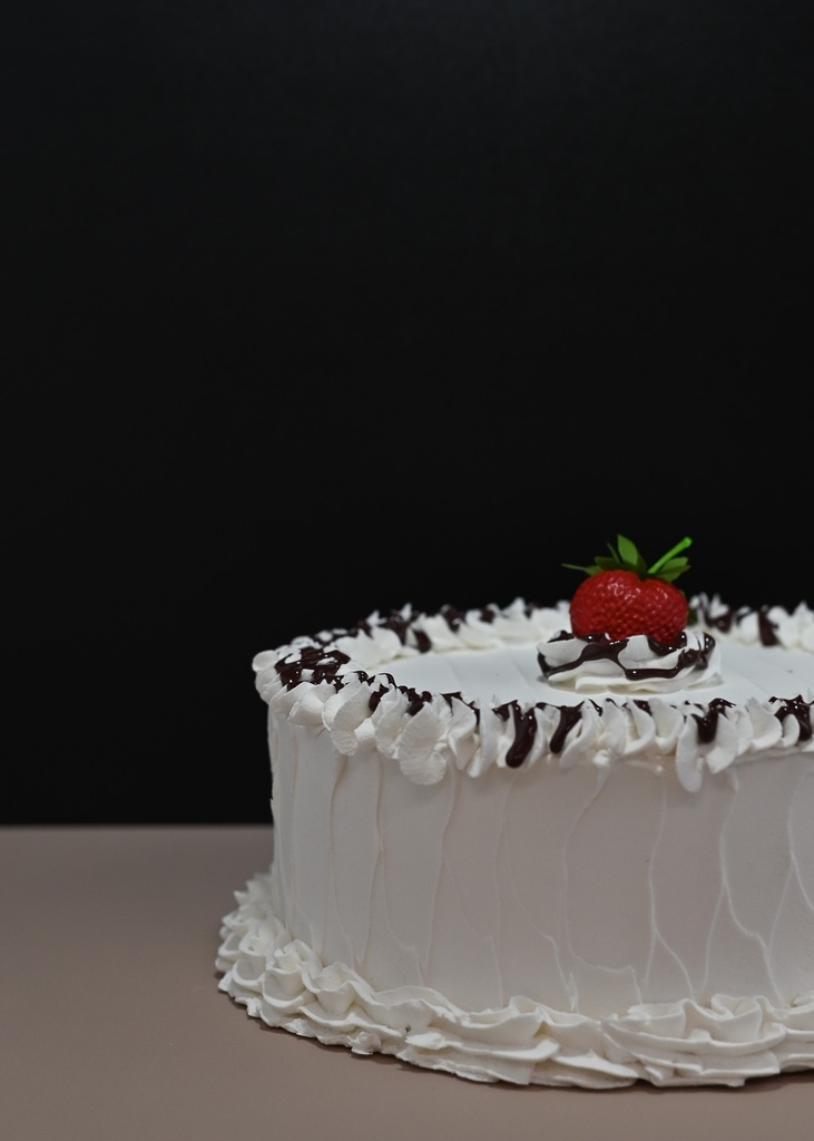 Large Vanilla Frosted Cake