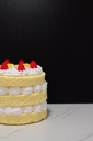 Triple Layer Lemon Cake