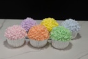 Pastel Frosted Cupcakes (Set of 6)