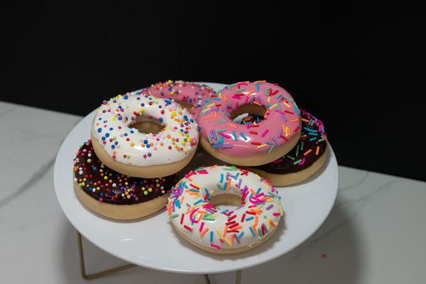 Assorted Donuts - C (Set of 6)