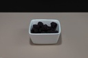 Blackberries (Set of 18)