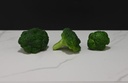 Broccoli Florets (Set of 3)