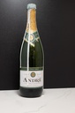 Half Filled Champagne Bottle