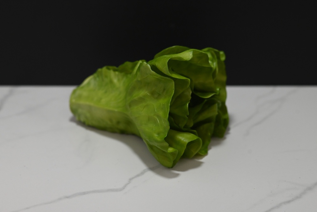Lettuce Head