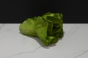 Lettuce Head