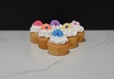 Mini Spring Flower Cupcakes (Set of 6)