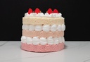 Triple Layer Raspberry Cake