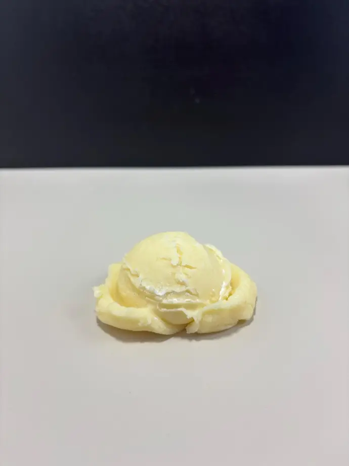 Vanilla Ice Cream Scoop