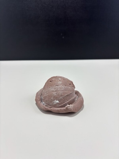 Chocolate Ice Cream Scoop
