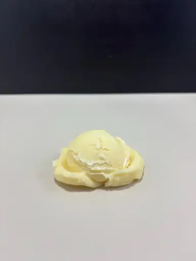 [502V] Vanilla Ice Cream Scoop
