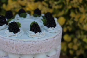 3 LAYER BLACKBERRY CAKE 317CU