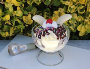 DELUXE SPRINKLE SUNDAE 501SP