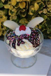 DELUXE SPRINKLE SUNDAE 501SP2