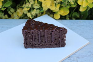 DRIZZLED CHOCOLATE CAKE SLICE 342