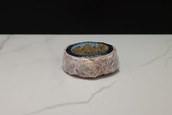 DSC 3600