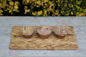 FAKE FRUIT AND NUT MUFFINS 908