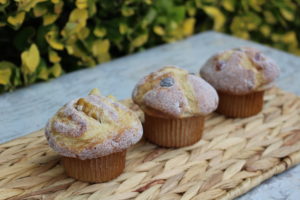 FRUIT AND NUT MUFFINS 908CU 2