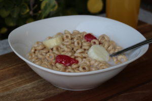 Fake Cheerios Cereal Bowl