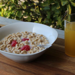 Fake Cheerios with Strawberries