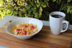 Fake Cornflakes Cereal Bowl