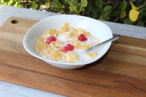 Fake Cornflake Cereal Bowl