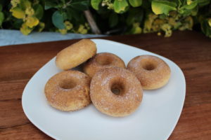 FAKE MINI DONUTS 755