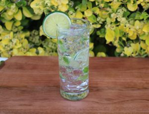 Fake MOJITO 528