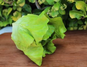 SML LETTUCE HEAD GREAN 1031