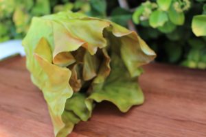 SML LETTUCE HEAD RED 1032CU