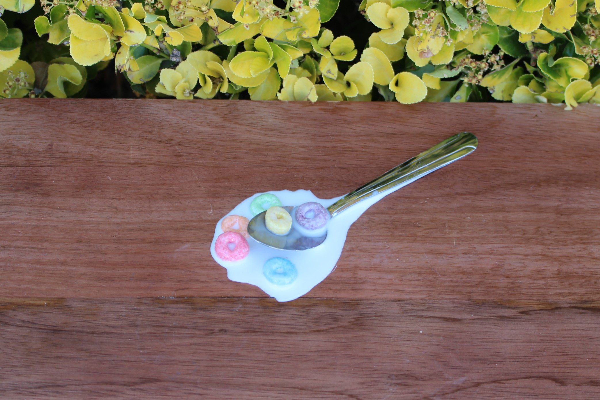 Plastic loop spoon deals